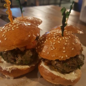 Sliders de la casa