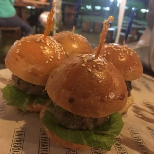 Sliders de la casa