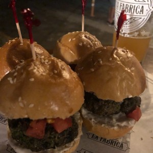 Sliders de la casa