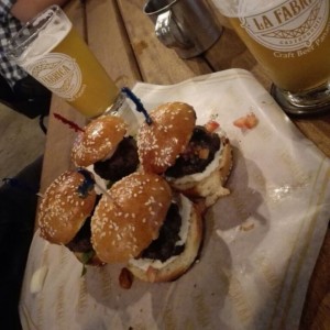 Sliders de la casa