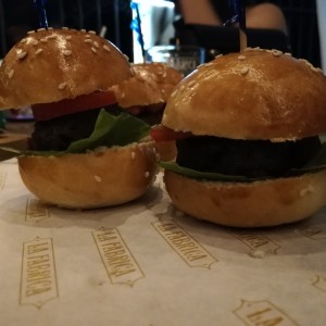 Sliders de la casa