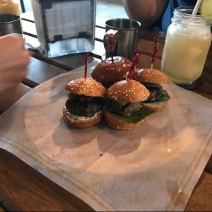 Sliders de la casa