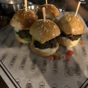 Sliders de la casa