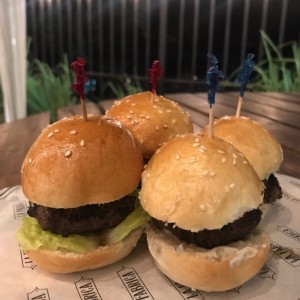 Sliders de la casa