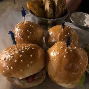 Sliders de la casa