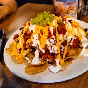 Nachos especial 