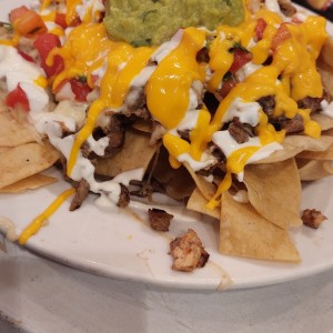 Nachos Combinados