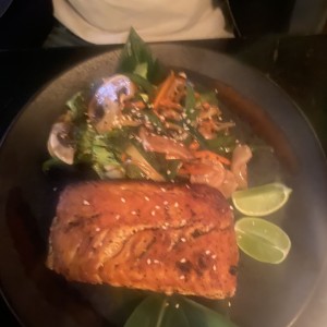 Salmon