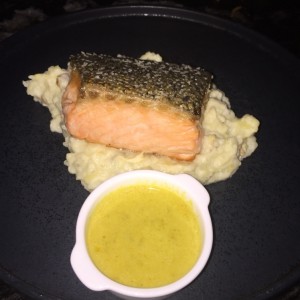 Salmon 