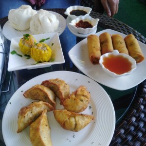 Variados - WoTip/Shumai/SpringRolls/HamPao