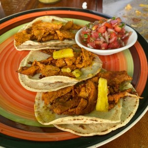 Al Pastor - Steak - Chorizo - Cochinita Pibil - Pollo - Carnitas