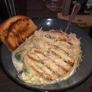 Classic Brocoli Chicken Alfredo Pasta