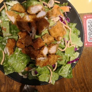 Ensaladas - Oriental Chicken Salad