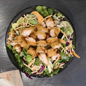 Ensaladas - Oriental Chicken Salad