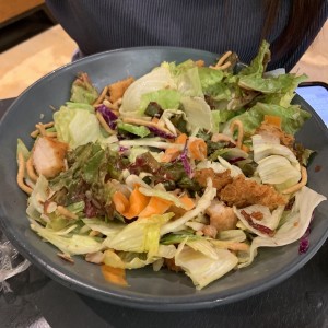 Ensaladas - Oriental Chicken Salad