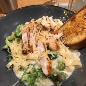 brocoli & chicken alfredo pasta 