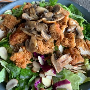 Ensaladas - Oriental Chicken Salad