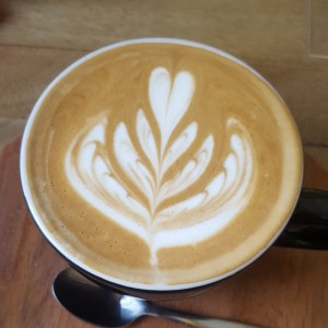 Cappuccino deslactosado