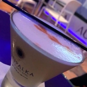 pisco regular (recomendado) 