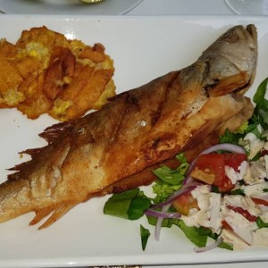 corvina frita