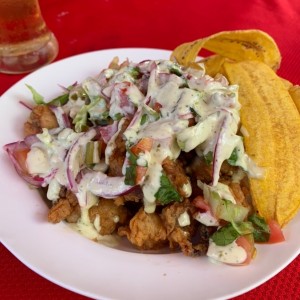 Platos Varios - Ceviche Frito