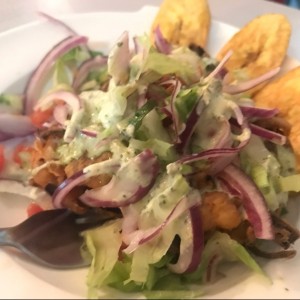 Platos Varios - Ceviche Frito