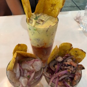 Platos Varios - Ceviche dos Tonos