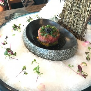 Entries - TORO TARTAR