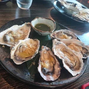 oyster 