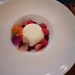 panacotta