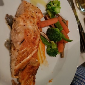 salmon 