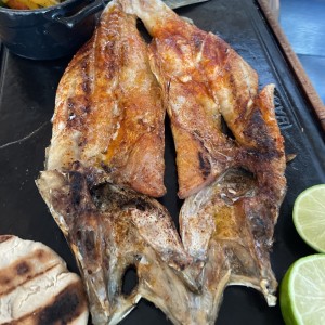 pargo