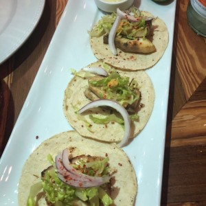 tacos de cobia