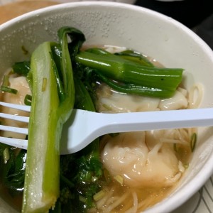 sopa fe wanton