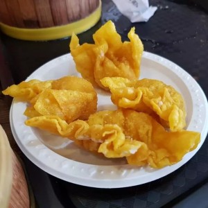 Wanton Frito de Puerco