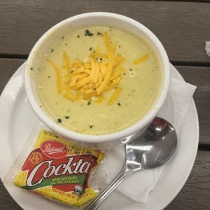 BROCCOLI CHEESE SOUP