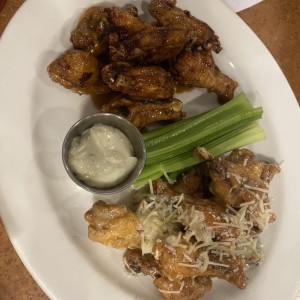 Appetizers - WINGS