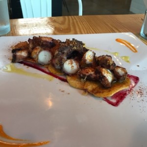 pulpo