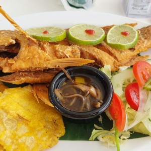 pargo frito 