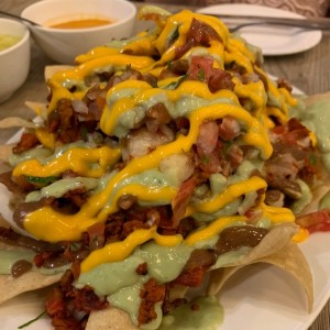 Nachos mixtos