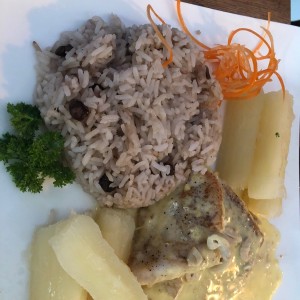 Filete de Corvina