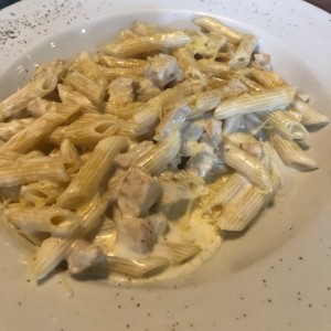 Pasta Tradizionale - Penne Alfredo con pollo