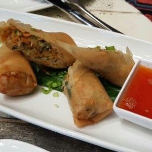 Spring roll de vegetales