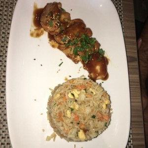 tempano de pollo con arroz