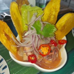 Entrada - Ceviche