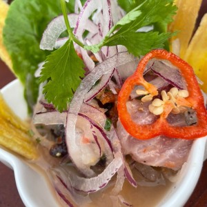 Ceviche