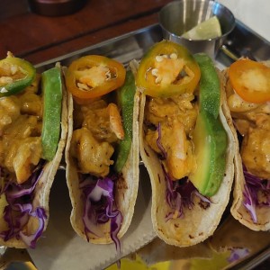 shrimp tacos