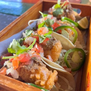 Fish Tacos