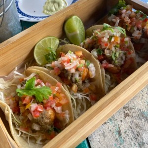 Fish tacos