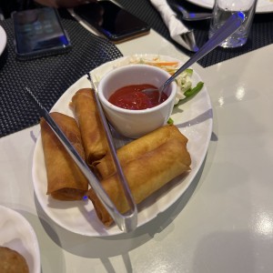 Spring Roll / Rollo Primavera